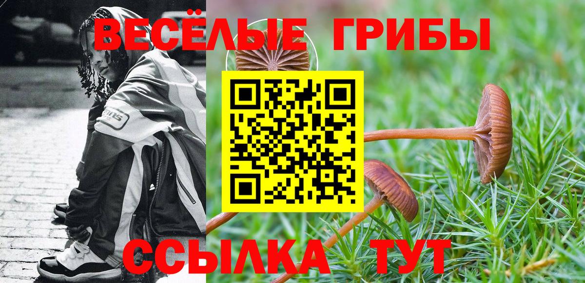 Псилоцибиновые грибы Magic Shrooms  Вход с VPN  Шатура  Галлюциногенные грибы Magic Shrooms 